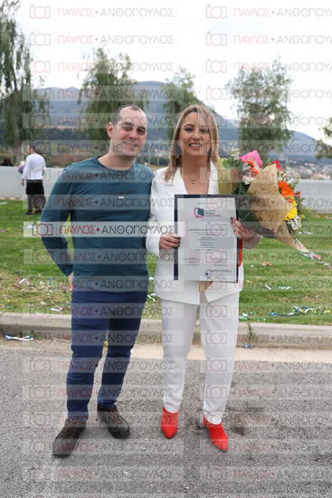 Νεώτερη και Σύγχρονη Ελληνική Ιστορία, Δημόσια Ιστορία