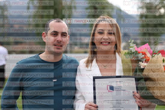 Νεώτερη και Σύγχρονη Ελληνική Ιστορία, Δημόσια Ιστορία