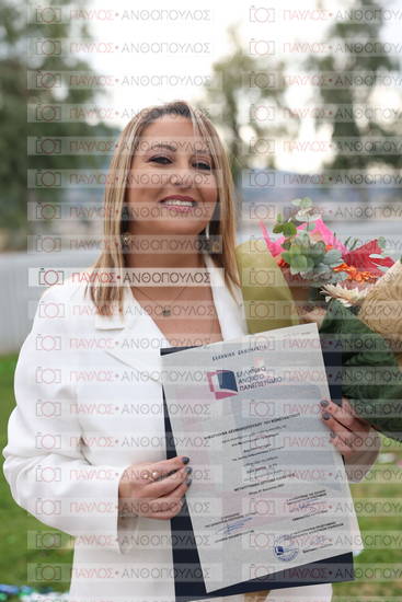 Νεώτερη και Σύγχρονη Ελληνική Ιστορία, Δημόσια Ιστορία