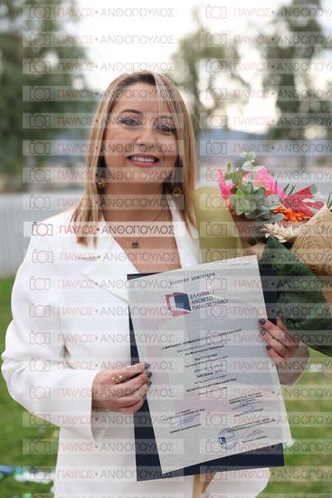 Νεώτερη και Σύγχρονη Ελληνική Ιστορία, Δημόσια Ιστορία