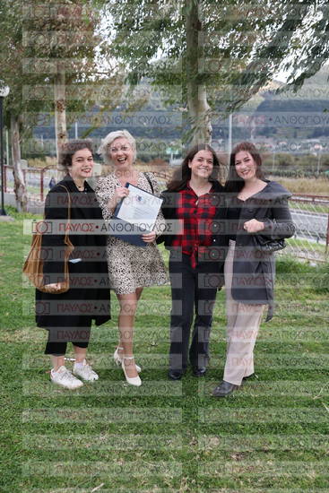 Νεώτερη και Σύγχρονη Ελληνική Ιστορία, Δημόσια Ιστορία