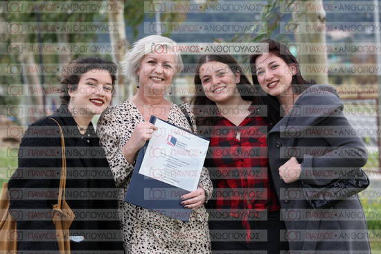 Νεώτερη και Σύγχρονη Ελληνική Ιστορία, Δημόσια Ιστορία