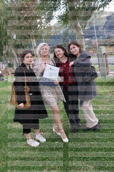 Νεώτερη και Σύγχρονη Ελληνική Ιστορία, Δημόσια Ιστορία