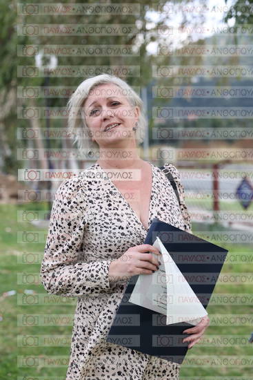 Νεώτερη και Σύγχρονη Ελληνική Ιστορία, Δημόσια Ιστορία