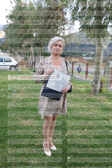 Νεώτερη και Σύγχρονη Ελληνική Ιστορία, Δημόσια Ιστορία