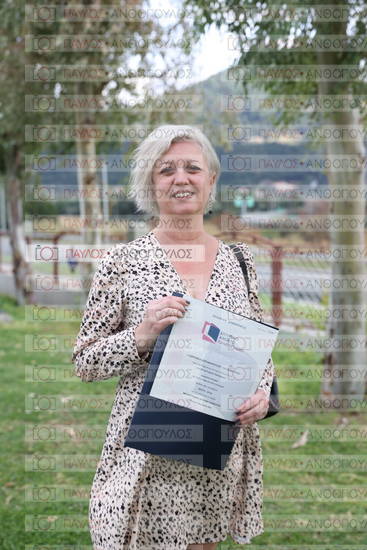 Νεώτερη και Σύγχρονη Ελληνική Ιστορία, Δημόσια Ιστορία