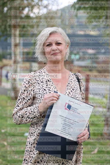 Νεώτερη και Σύγχρονη Ελληνική Ιστορία, Δημόσια Ιστορία