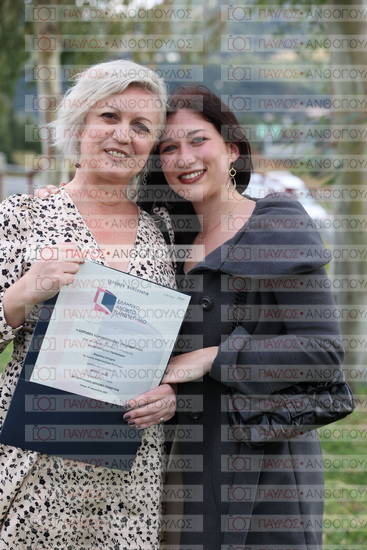Νεώτερη και Σύγχρονη Ελληνική Ιστορία, Δημόσια Ιστορία
