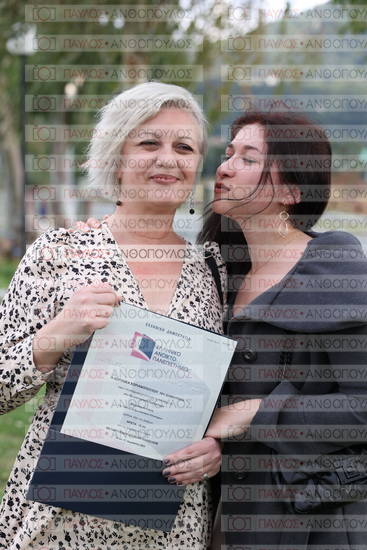 Νεώτερη και Σύγχρονη Ελληνική Ιστορία, Δημόσια Ιστορία