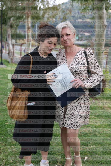 Νεώτερη και Σύγχρονη Ελληνική Ιστορία, Δημόσια Ιστορία