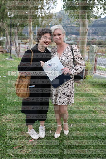 Νεώτερη και Σύγχρονη Ελληνική Ιστορία, Δημόσια Ιστορία