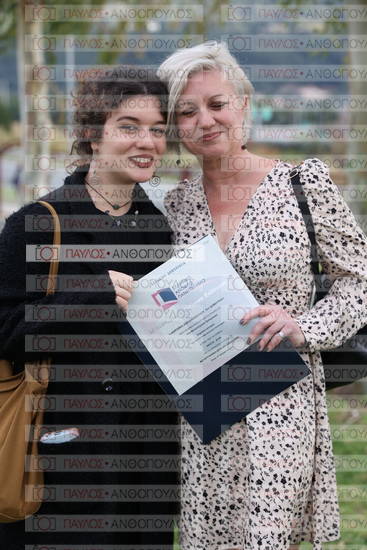 Νεώτερη και Σύγχρονη Ελληνική Ιστορία, Δημόσια Ιστορία