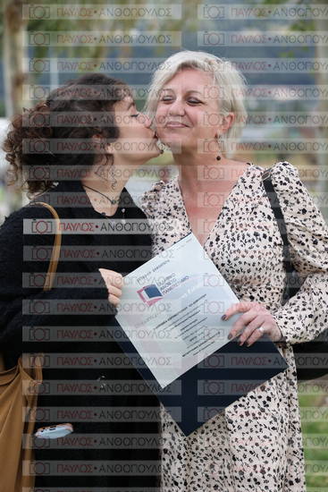 Νεώτερη και Σύγχρονη Ελληνική Ιστορία, Δημόσια Ιστορία