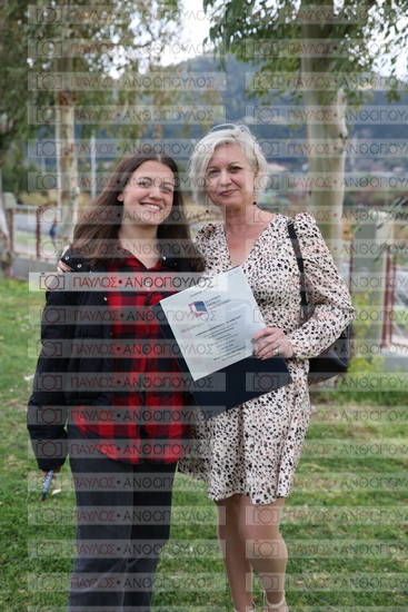 Νεώτερη και Σύγχρονη Ελληνική Ιστορία, Δημόσια Ιστορία