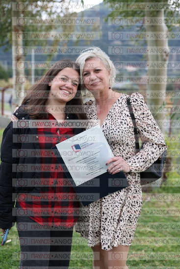 Νεώτερη και Σύγχρονη Ελληνική Ιστορία, Δημόσια Ιστορία