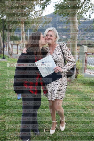 Νεώτερη και Σύγχρονη Ελληνική Ιστορία, Δημόσια Ιστορία