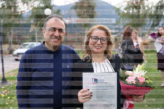 Νεώτερη και Σύγχρονη Ελληνική Ιστορία, Δημόσια Ιστορία