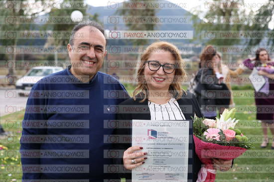 Νεώτερη και Σύγχρονη Ελληνική Ιστορία, Δημόσια Ιστορία