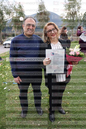 Νεώτερη και Σύγχρονη Ελληνική Ιστορία, Δημόσια Ιστορία