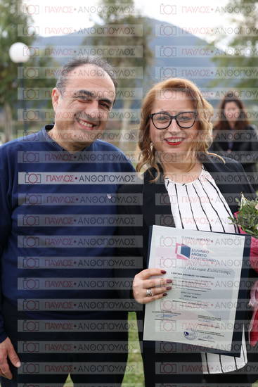 Νεώτερη και Σύγχρονη Ελληνική Ιστορία, Δημόσια Ιστορία