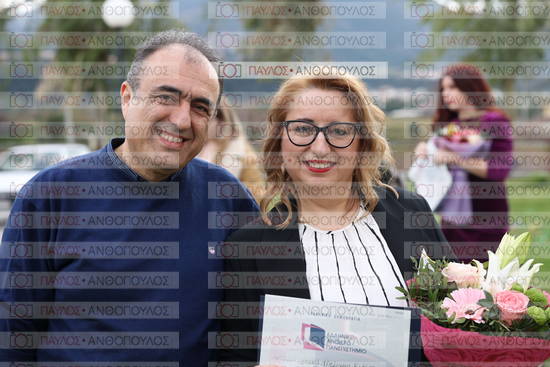 Νεώτερη και Σύγχρονη Ελληνική Ιστορία, Δημόσια Ιστορία