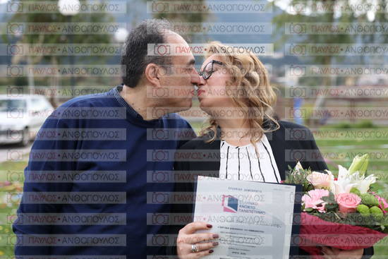 Νεώτερη και Σύγχρονη Ελληνική Ιστορία, Δημόσια Ιστορία