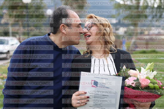 Νεώτερη και Σύγχρονη Ελληνική Ιστορία, Δημόσια Ιστορία