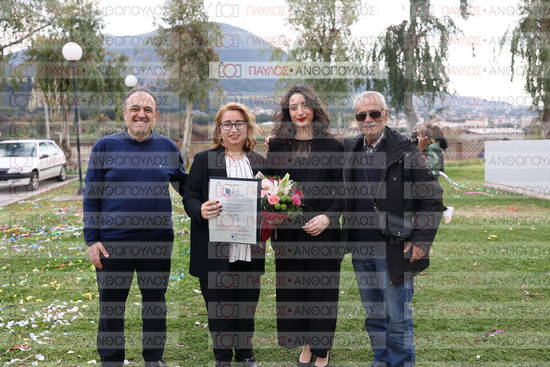 Νεώτερη και Σύγχρονη Ελληνική Ιστορία, Δημόσια Ιστορία
