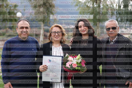 Νεώτερη και Σύγχρονη Ελληνική Ιστορία, Δημόσια Ιστορία