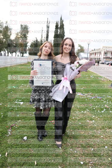 Νεώτερη και Σύγχρονη Ελληνική Ιστορία, Δημόσια Ιστορία