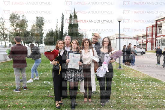 Νεώτερη και Σύγχρονη Ελληνική Ιστορία, Δημόσια Ιστορία