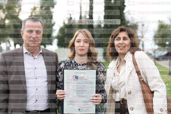 Νεώτερη και Σύγχρονη Ελληνική Ιστορία, Δημόσια Ιστορία