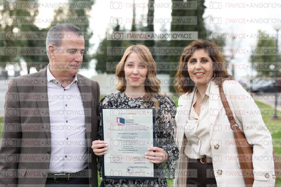 Νεώτερη και Σύγχρονη Ελληνική Ιστορία, Δημόσια Ιστορία