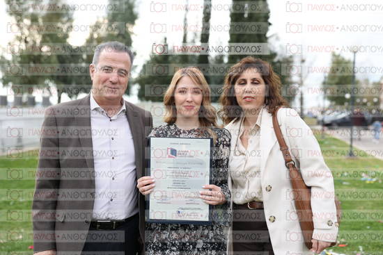 Νεώτερη και Σύγχρονη Ελληνική Ιστορία, Δημόσια Ιστορία