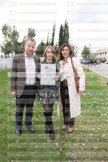 Νεώτερη και Σύγχρονη Ελληνική Ιστορία, Δημόσια Ιστορία