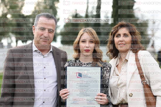 Νεώτερη και Σύγχρονη Ελληνική Ιστορία, Δημόσια Ιστορία
