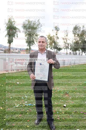 Νεώτερη και Σύγχρονη Ελληνική Ιστορία, Δημόσια Ιστορία