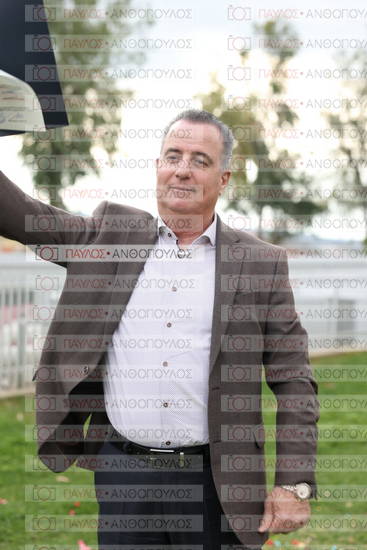 Νεώτερη και Σύγχρονη Ελληνική Ιστορία, Δημόσια Ιστορία