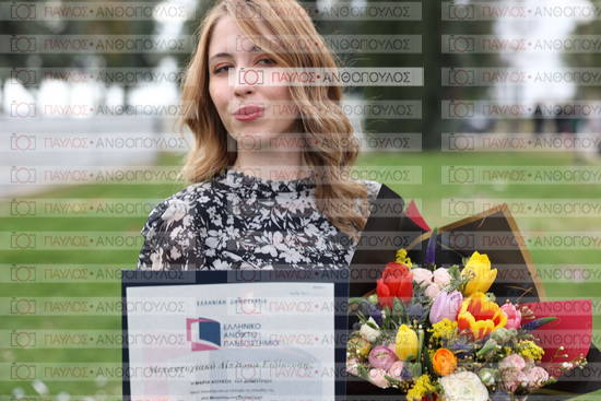 Νεώτερη και Σύγχρονη Ελληνική Ιστορία, Δημόσια Ιστορία