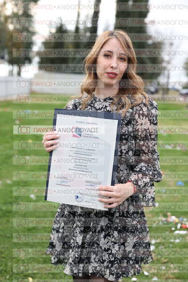 Νεώτερη και Σύγχρονη Ελληνική Ιστορία, Δημόσια Ιστορία