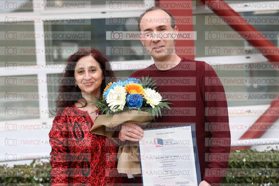 Νεώτερη και Σύγχρονη Ελληνική Ιστορία, Δημόσια Ιστορία