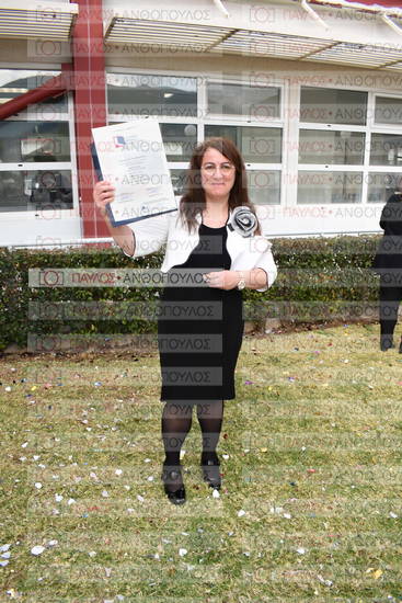 Νεώτερη και Σύγχρονη Ελληνική Ιστορία, Δημόσια Ιστορία