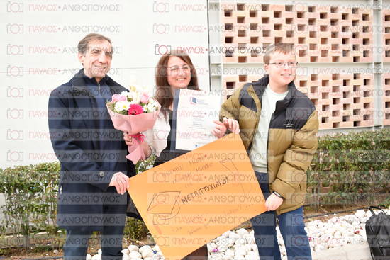 Νεώτερη και Σύγχρονη Ελληνική Ιστορία, Δημόσια Ιστορία