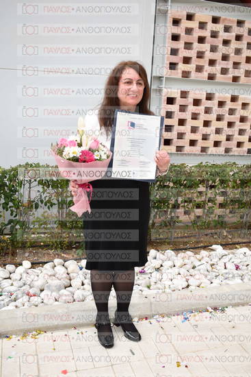 Νεώτερη και Σύγχρονη Ελληνική Ιστορία, Δημόσια Ιστορία