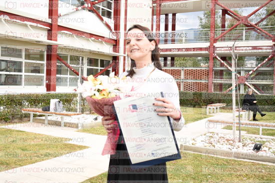 Νεώτερη και Σύγχρονη Ελληνική Ιστορία, Δημόσια Ιστορία