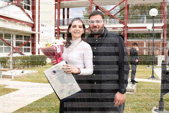 Νεώτερη και Σύγχρονη Ελληνική Ιστορία, Δημόσια Ιστορία
