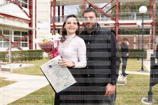Νεώτερη και Σύγχρονη Ελληνική Ιστορία, Δημόσια Ιστορία