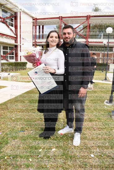 Νεώτερη και Σύγχρονη Ελληνική Ιστορία, Δημόσια Ιστορία
