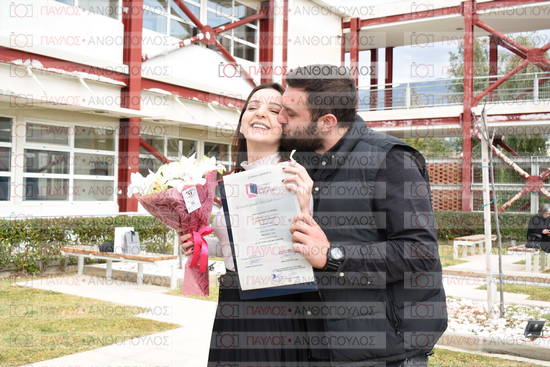Νεώτερη και Σύγχρονη Ελληνική Ιστορία, Δημόσια Ιστορία