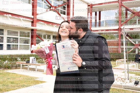 Νεώτερη και Σύγχρονη Ελληνική Ιστορία, Δημόσια Ιστορία